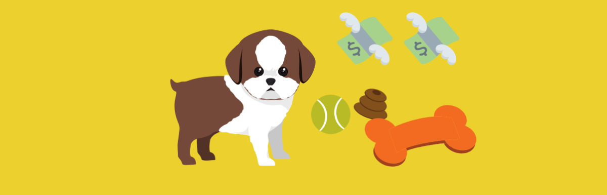 Ecommerce De Sucesso Fatura 1 Milhão com Produtos Pet Sustentáveis