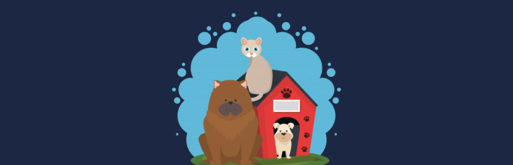 Como Montar um PetShop Online│Plano de Negócios