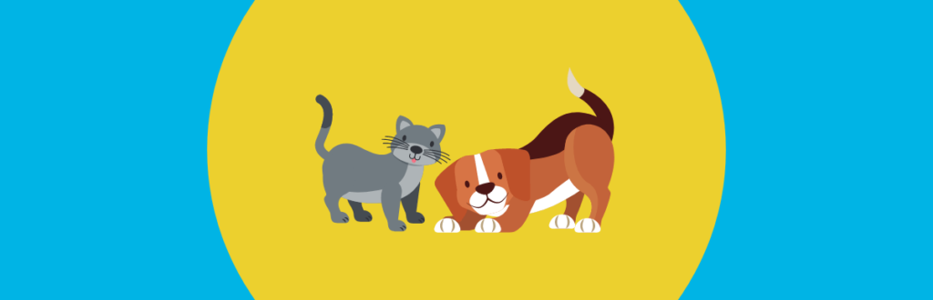 Mercado Pet: um universo a ser explorado no Ecommerce