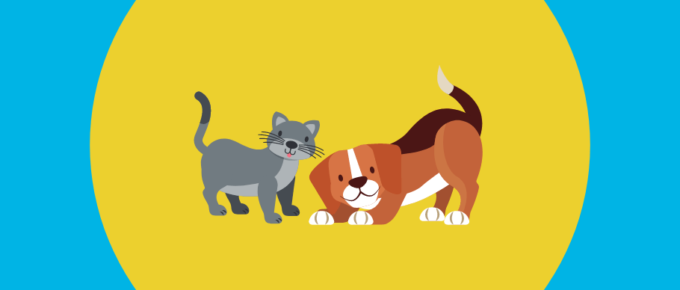 mercado pet