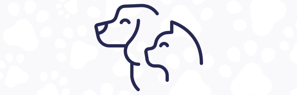 Ecommerce de pet shop com faturamento milionário? Conheça a Mabuu Pet