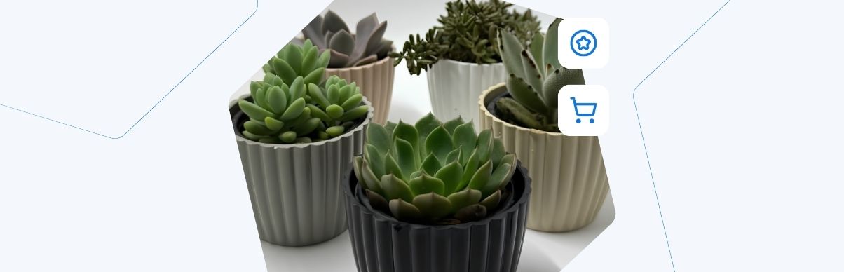 Yuri Plantas & Vasos
