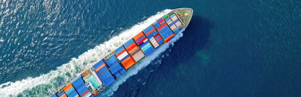 O que é DUIMP e como funciona? Entenda detalhes